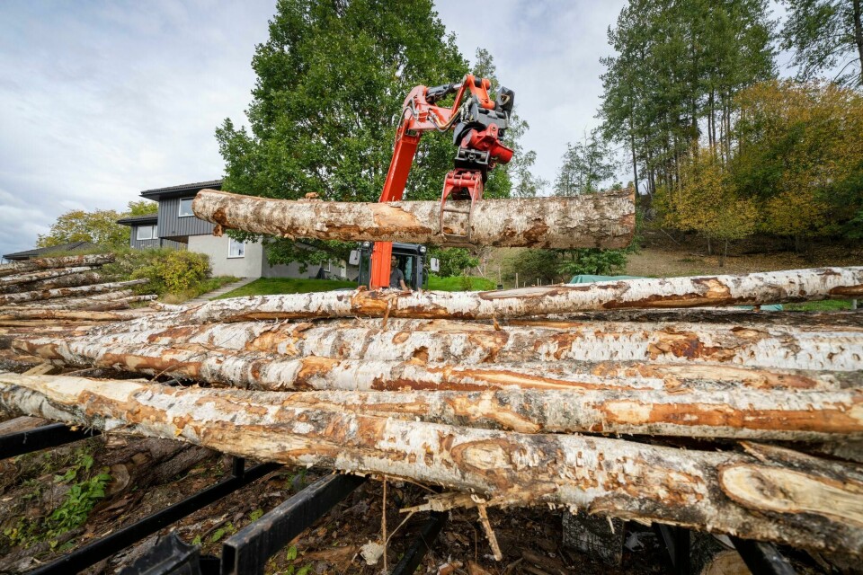 Økokrims rapport bidrar til å polarisere en allerede tilspisset debatt, mellom de som er enig i at det finnes verdifull gammelskog som burde vært ulovlig å hogge, og skogeiere som utøver lovlig hogst – og derfor opplever seg mistenkeliggjort, skriver Peder Landfald. Skogbruk, hogst