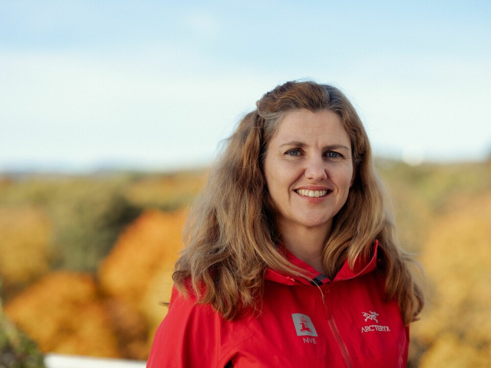 Direktør for energi- og konsesjonsavdelingen i NVE, Inga Nordberg Inga
