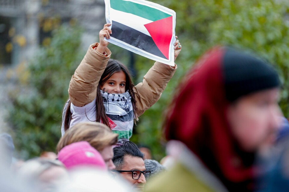 Mens massakren fortsetter i Gaza, fortsetter folk å demonstrere for våpenhvile i Norge. Her utenfor Stortinget. .