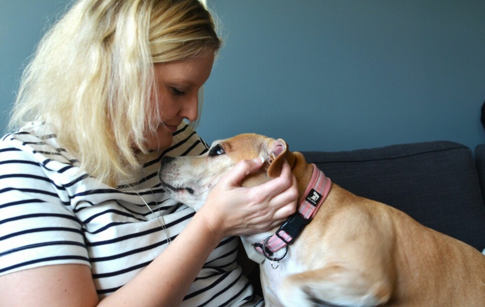Hege Jeanette Eilertsen la alt til rette for at staffordshire bull terrieren Diva skulle få en mest mulig skjermet nyttårsaften. Slik ble det ikke. Hege Jeanette Eilertsen og staffordshire bull terrieren Diva