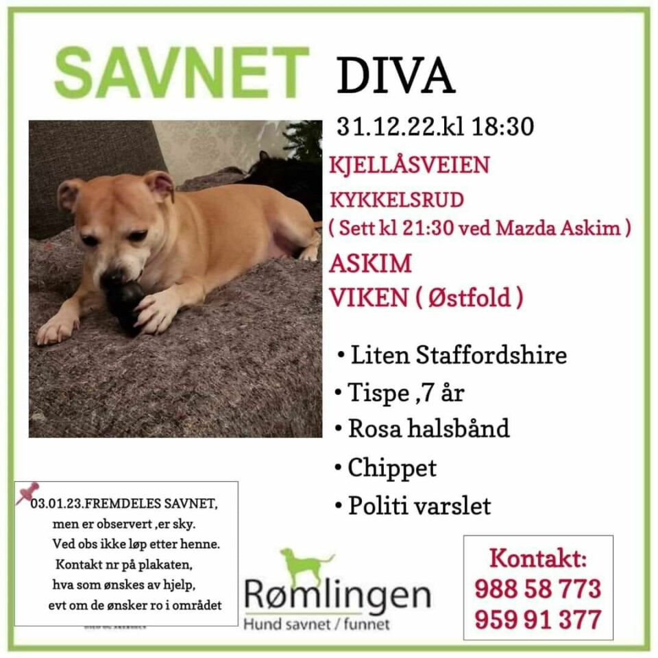 Skjermdump Facebook. Skjermdump Facebook.
