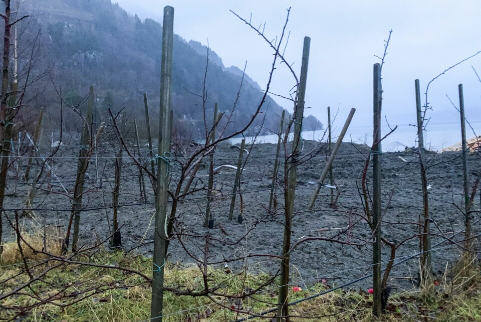 Jordras skapt store skader i Ullensvang i Hardanger i Vestland fylke tidligere i desember. Nå ventes mer uvær. Jordras skapt store skader i Ullensvang i Hardanger i Vestland fylke tidligere i desember. Nå ventes mer uvær.