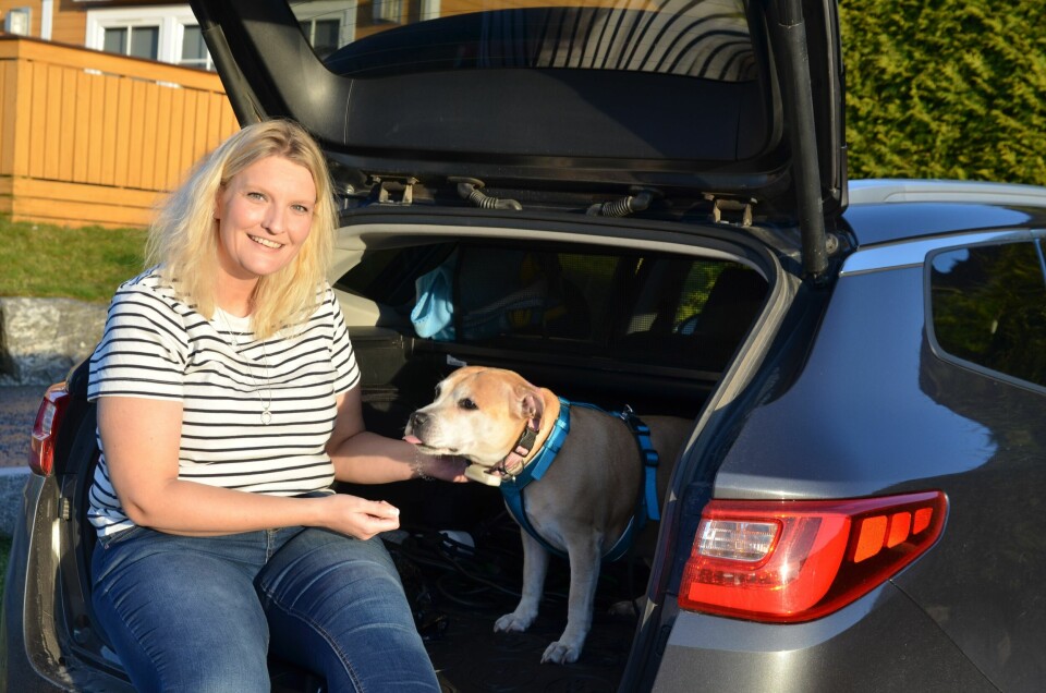 Hege Jeanette Eilertsen tenker det er flere alternativer når nyttårsaften skal tilbringes sammen med sin engstelige staffordshire bull terrier, Diva. Hege Jeanette Eilertsen tenker det er flere alternativer når nyttårsaften skal tilbringes sammen med sin engstelige staffordshire bull terrier, Diva.
