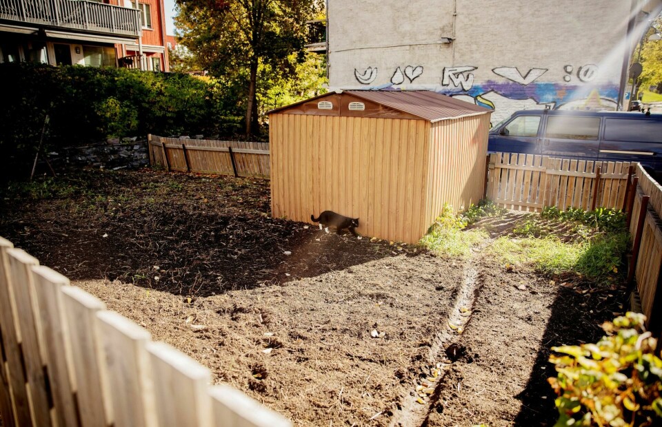 Det ble gitt dispensasjon fra reguleringsbestemmelsene på tomta, og eier Hans Martin Skoglund skulle opprette park for å unngå et «sår» i gata. Det ble gitt dispensasjon fra reguleringsbestemmelsene på tomta, og eier Hans Martin Skoglund skulle opprette park for å unngå et «sår» i gata.