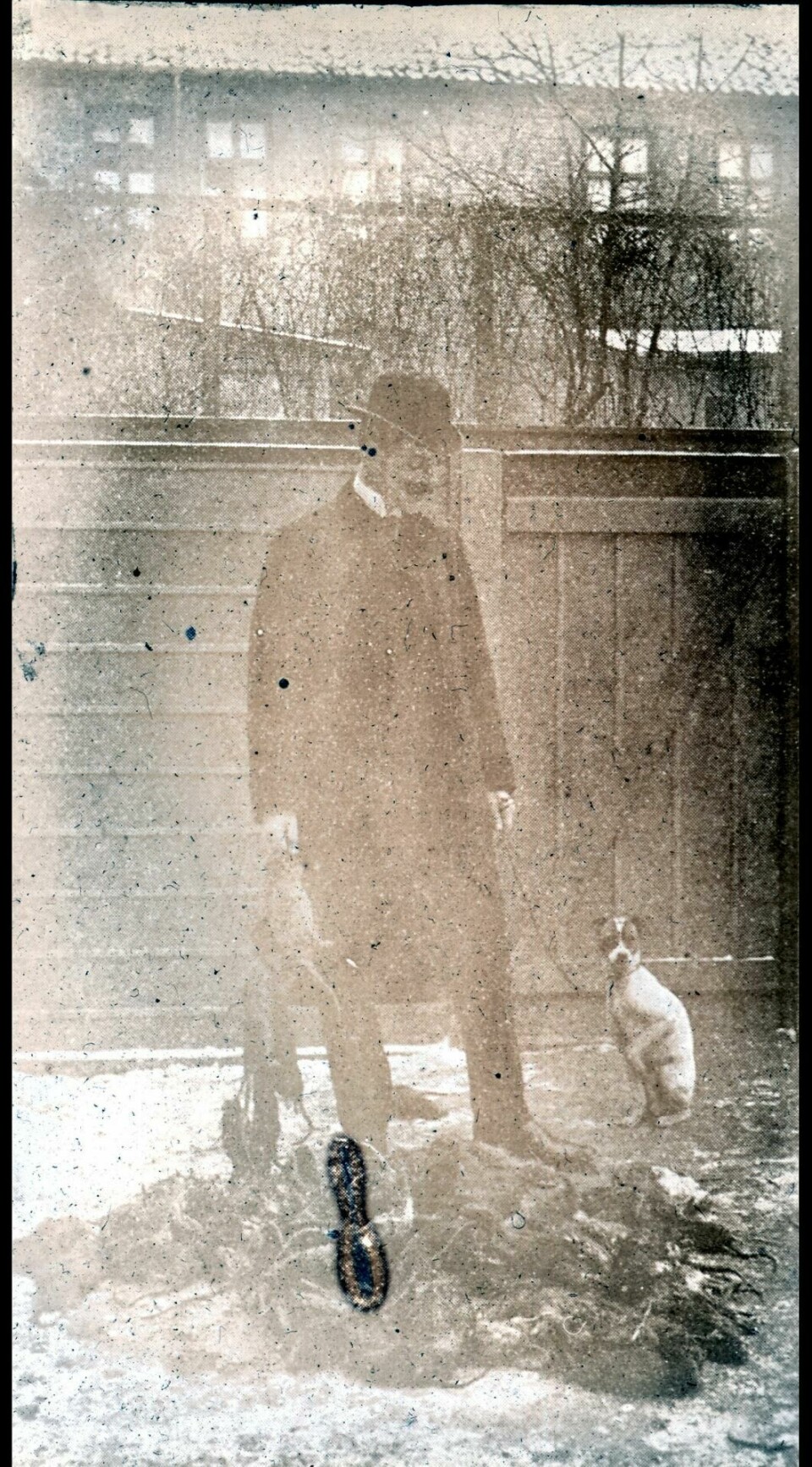 Mann og hund studerer en haug med døde rotter under Rottekrigen i 1930. FOTO: OSLO BYARKIV Mann og hund studerer en haug med døde rotter under Rottekrigen i 1930. FOTO: OSLO BYARKIV