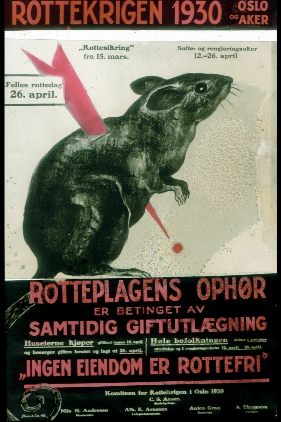 «Forbered nu rottenes død». Plakater ble hengt opp i gårder og virksomheter over hele Oslo og Aker mars og april 1930. Rottekrigen i Oslo og Aker med en felles «rottedag lørdag 26. april skulle ta knekken på byens rotter. Komiteen for Rottekrigen 1930 sto i spissen for arbeidet. KILDE: OSLO BYARKIV «Forbered nu rottenes død». Plakater ble hengt opp i gårder og virksomheter over hele Oslo og Aker mars og april 1930. Rottekrigen i Oslo og Aker med en felles «rottedag lørdag 26. april skulle ta knekken på byens rotter. Komiteen for Rottekrigen 1930 sto i spissen for arbeidet. KILDE: OSLO BYARKIV