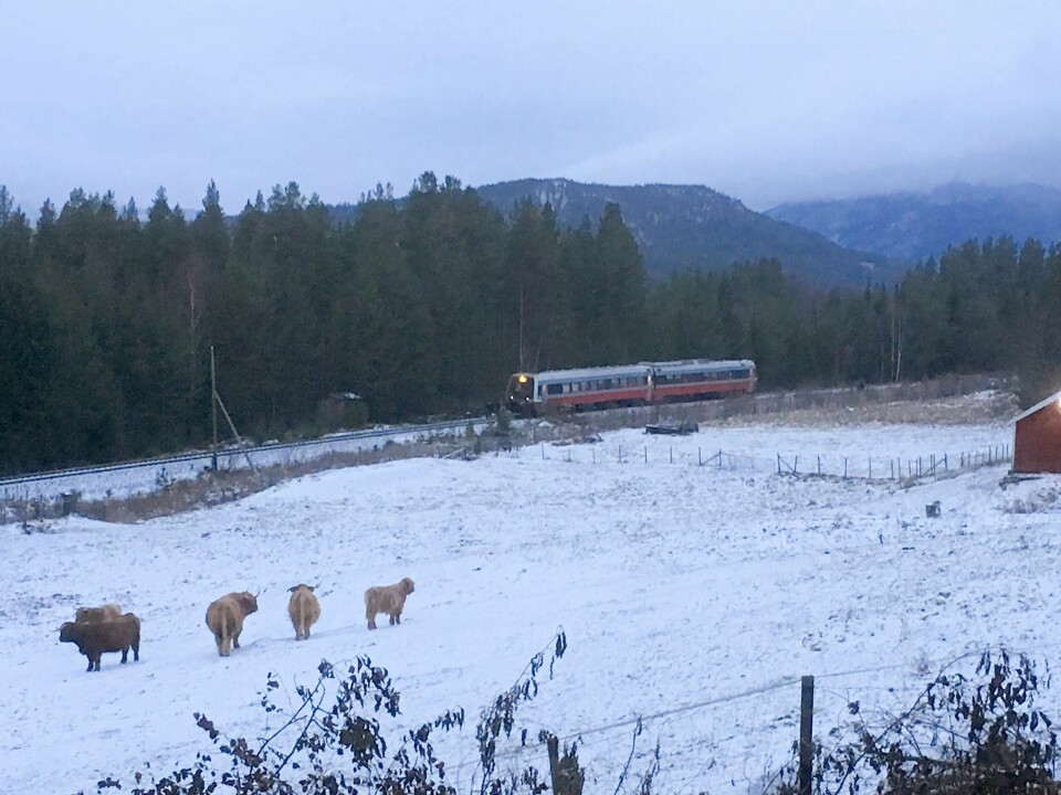 Et tog har truffet en lastebil på Rørosbanen nord for Koppang.