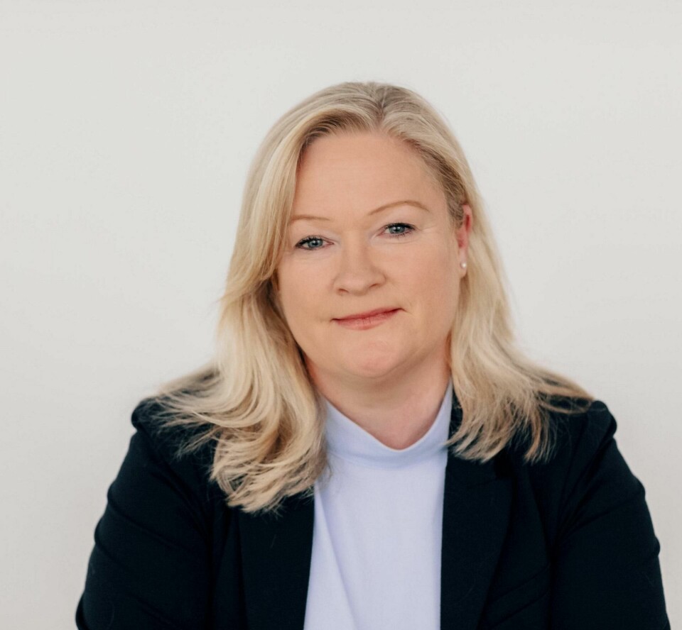 Janne Stang Dahl, kommunikasjonsdirektør i Datatilsynet. Janne Stang Dahl, kommunikasjonsdirektør i Datatilsynet.