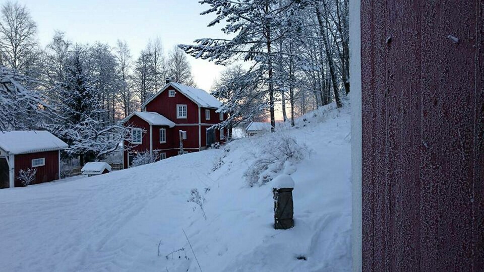 JULESTEMNING: På låven sitter vår lille flokk med vår julegrøt. Foto: Eirik Hoff Lysholm