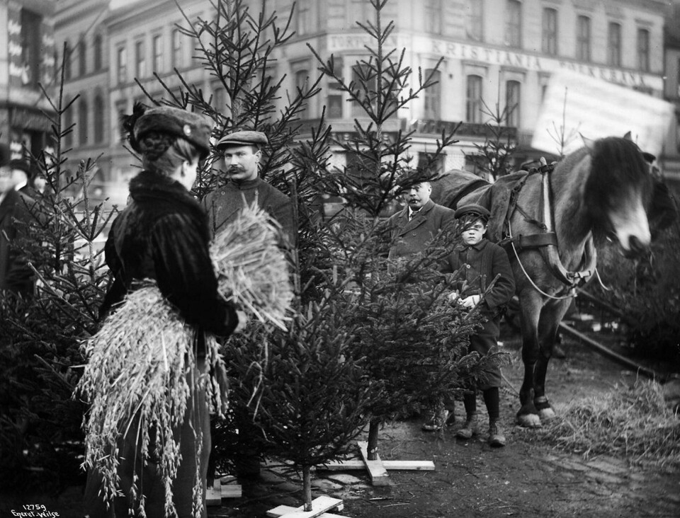 Juletresalg på Youngstorget. Juletresalg på Youngstorget.