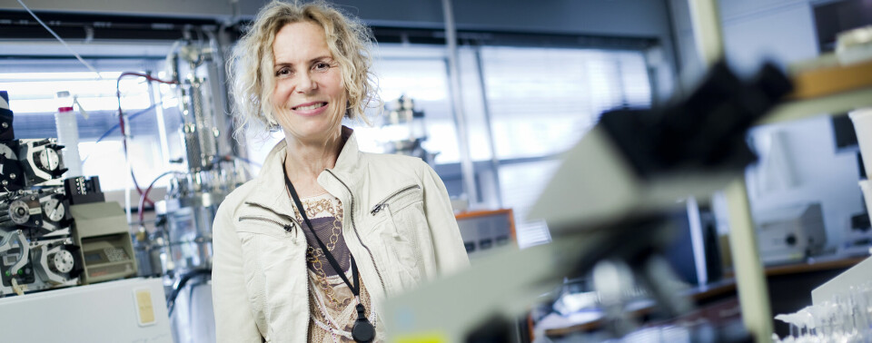 Ragnhild Wiik overtar torsdag som BI-direktør etter Bjørn Bugge. Planen er å sykle til jobben, gjøre BI Stavanger synlig regionalt og nasjonalt, og kunne bidra også som foreleser for BI-studentene. Wiik har vært foreleser ved BI siden 2004 og er i dag forskningssjef ved IRIS på Ullandhaug. Jeg gleder meg veldig til å jobbe med veldig kjekke kollegaer på BI, sier hun. Ragnhild Wiik overtar torsdag som BI-direktør etter Bjørn Bugge. Planen er å sykle til jobben, gjøre BI Stavanger synlig regionalt og nasjonalt, og kunne bidra også som foreleser for BI-studentene. Wiik har vært foreleser ved BI siden 2004 og er i dag forskningssjef ved IRIS på Ullandhaug. Jeg gleder meg veldig til å jobbe med veldig kjekke kollegaer på BI, sier hun.