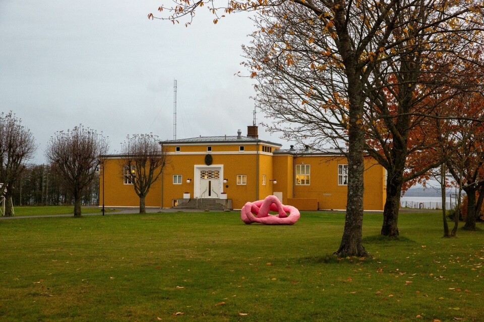 Den rosa skulpturen som nå er plassert ut foran hotell og konferansesenteret Jeløy Radio er over fem meter lang og to meter høy. Den rosa skulpturen som nå er plassert ut foran hotell og konferansesenteret Jeløy Radio er over fem meter lang og to meter høy.