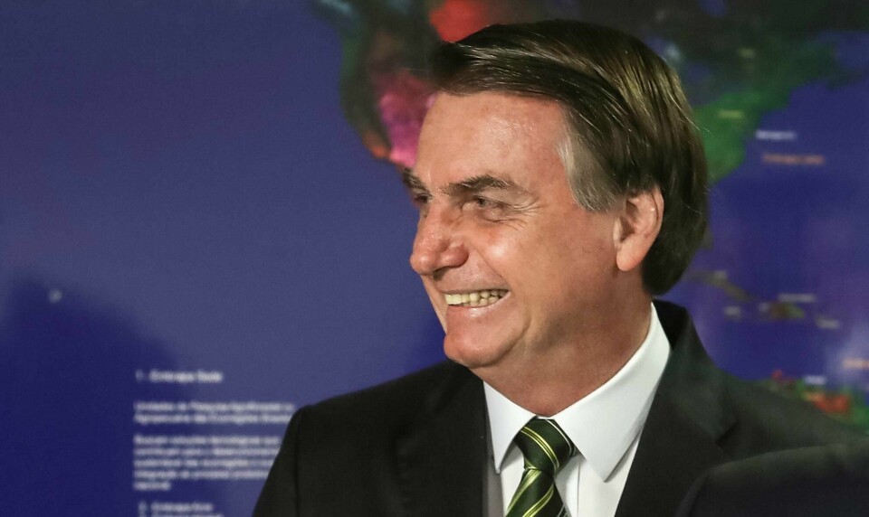 Avskogingen i Brasil øker kraftig under landets høyrepopulistiske president Jair Bolsonaro. Nå stopper Norge alle overføringer til Amazonasfondet.