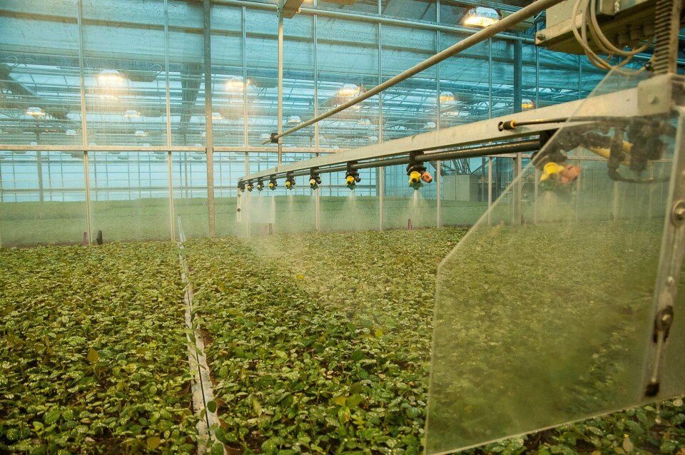 Kjemiske plantevernmidler, såkalte pesticider, brukes til å verne planter og såvare mot skadedyr, soppsykdommer og ugras. De inneholder ett eller flere virkestoffer som dreper eller fjerner skadegjørere. 120 slike virkestoffer er godkjent i Norge av Mattilsynet. Alle foto: Erling Fløistad/NIBIO Kjemiske plantevernmidler, såkalte pesticider, brukes til å verne planter og såvare mot skadedyr, soppsykdommer og ugras. De inneholder ett eller flere virkestoffer som dreper eller fjerner skadegjørere. 120 slike virkestoffer er godkjent i Norge av Mattilsynet. Alle foto: Erling Fløistad/NIBIO