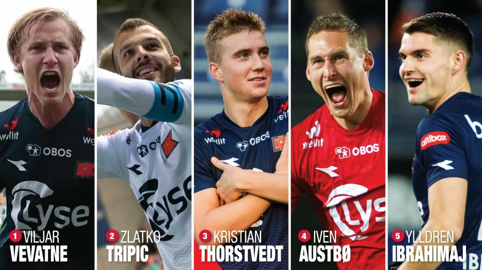 Hvem av disse er Årets Viking? ###
