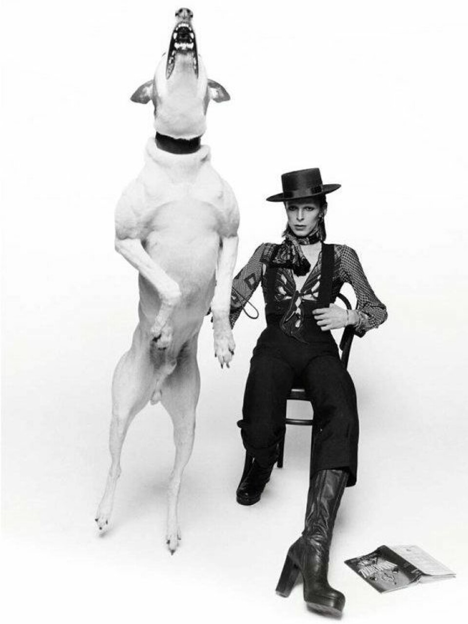 Et av Terry O’Neills mest kjente bilder er dette av David Bowie, hvor han poserer med en hund i forbindelse med lanseringen av hans album Diamond Dogs London. FOTO: TERRY O’NEILLS Et av Terry O’Neills mest kjente bilder er dette av David Bowie, hvor han poserer med en hund i forbindelse med lanseringen av hans album Diamond Dogs London. FOTO: TERRY O’NEILLS