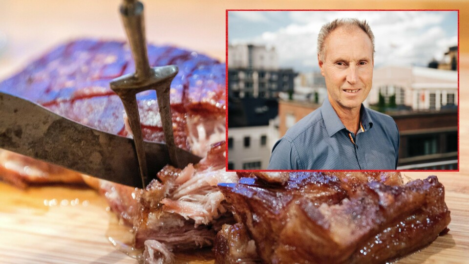 Arne Ivar Sletnes, Norsk Landbrukssamvirke, fagsjef Internasjonale spørsmål.