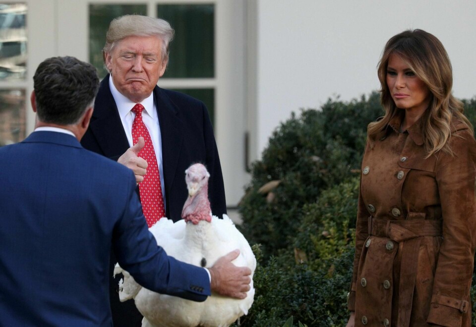 Donald Trump benådet som vanlig en kalkun i forbindelse med den amerikanske høsttakkefesten i slutten av november. Etter en kort pause for høytida fortsetter riksrettsgranskingen. Foto: Loren Elliott/NTB scanpix