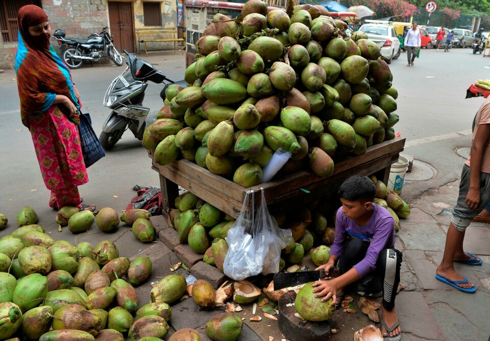 An Indian vendor cuts coconuts for a customer at a roadside in the old quarters of New Delhi on July 14, 2019. - Coconut water is in high demand during the summer months in India. (Photo by Sajjad HUSSAIN / AFP) An Indian vendor cuts coconuts for a customer at a roadside in the old quarters of New Delhi on July 14, 2019. - Coconut water is in high demand during the summer months in India. (Photo by Sajjad HUSSAIN / AFP)