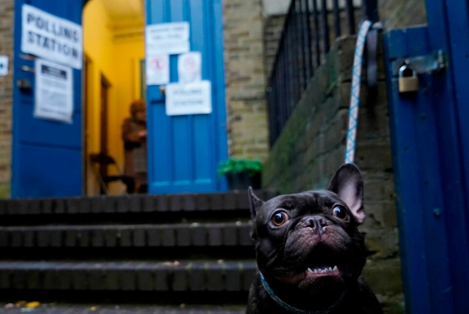 A dog is tied up to railings outside St John's parish hall polling station in London as Britain holds a general election on December 12, 2019 (Photo by Niklas HALLE'N / AFP) A dog is tied up to railings outside St John's parish hall polling station in London as Britain holds a general election on December 12, 2019 (Photo by Niklas HALLE'N / AFP)