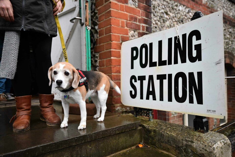 A voter leaves with their dog Lilly, after casting their vote at a polling station in Church in Brighton as Britain holds a general election on December 12, 2019. (Photo by Glyn KIRK / AFP) A voter leaves with their dog Lilly, after casting their vote at a polling station in Church in Brighton as Britain holds a general election on December 12, 2019. (Photo by Glyn KIRK / AFP)
