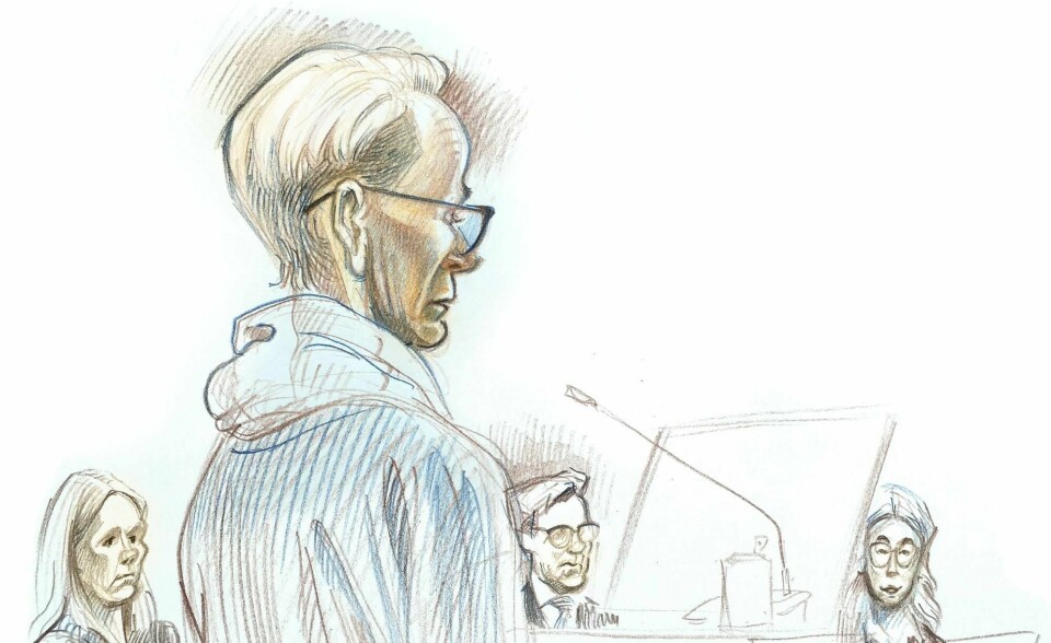 Tiltalte Laila Anita Bertheussen. Tegningen er fra en dag tidligere under rettssaken mot henne i sal 250 i Oslo tingrett.