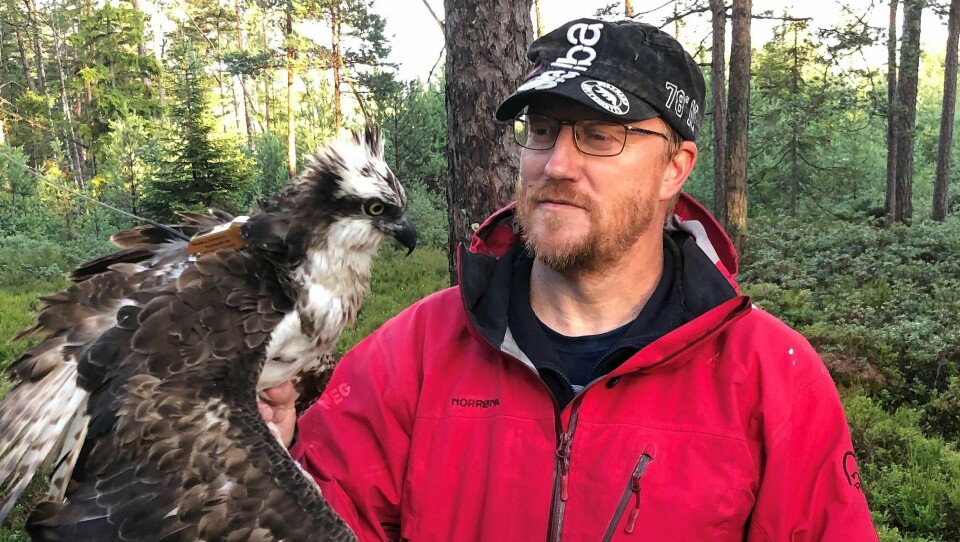 Herr Huseby med senderen på ryggen.