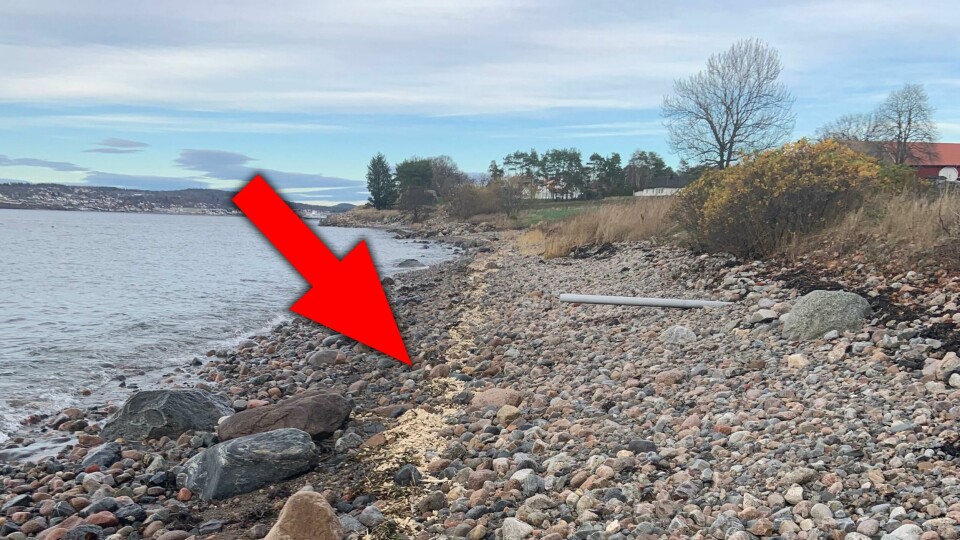 Skummet har dukket opp langs store deler av Oslofjorden, blant annet i Moss hvor dette bildet er tatt. Skummet har dukket opp langs store deler av Oslofjorden, blant annet i Moss hvor dette bildet er tatt.