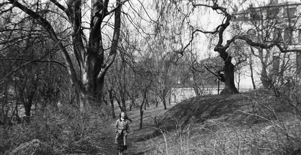 Lakkegårdens gamle hage mot Akerselva. I bakgrunnen Trondheimsveien 3 som tidligere huset Akers sparebank og rådhus, nå bl.a. restauranten Südøst. Foto fra 1937. Fritz Holland/Oslo Museum Lakkegårdens gamle hage mot Akerselva. I bakgrunnen Trondheimsveien 3 som tidligere huset Akers sparebank og rådhus, nå bl.a. restauranten Südøst. Foto fra 1937. Fritz Holland/Oslo Museum