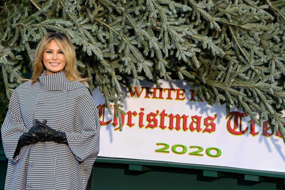 Melania Trump planlegger ifølge ABC News å holde en mottakelse innendørs i Det hvite hus. Her tar hun imot juletreet som skal pryde Det hvite hus i år.