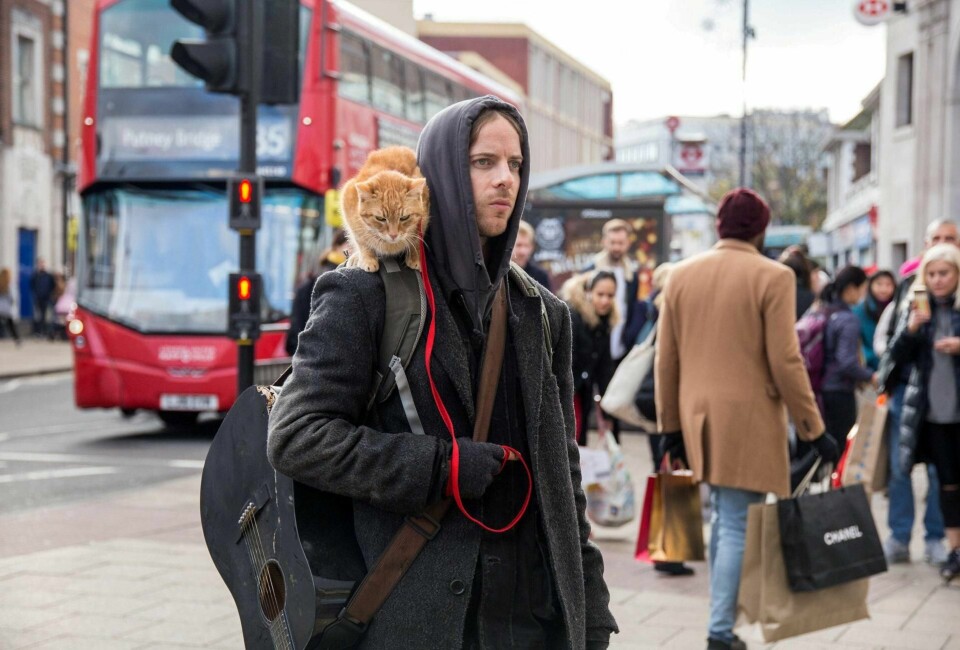James Bowen (her spilt av Luke Treadway) og katten Bob er blitt kjendiser verden rundt. Nå kommer den andre filmen om de to.