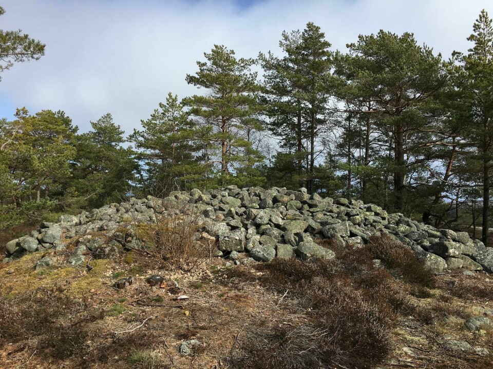 På toppen av Botneveten, 70 meter over havet, ligger en flott bronsealderrøys. På toppen av Botneveten, 70 meter over havet, ligger en flott bronsealderrøys.