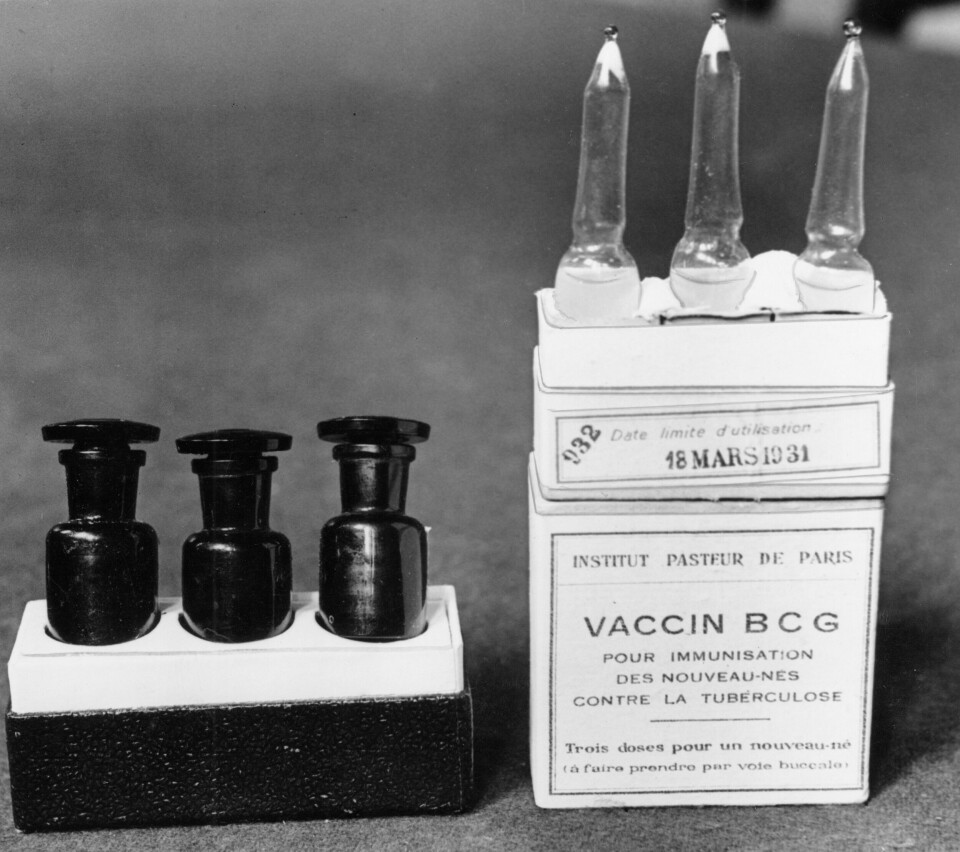 FILE - This March 1931 file photo shows ampules of the BCG vaccine against tuberculosis in a laboratory at the Institute Pasteur in Paris, France. Dec. 2, 1947 file photo. Scientists are dusting off some decades-old vaccines against TB and polio to see if they could provide stopgap protection against COVID-19 until a more precise shot arrives. (AP Photo/Alfred Eisenstaedt) FILE - This March 1931 file photo shows ampules of the BCG vaccine against tuberculosis in a laboratory at the Institute Pasteur in Paris, France. Dec. 2, 1947 file photo. Scientists are dusting off some decades-old vaccines against TB and polio to see if they could provide stopgap protection against COVID-19 until a more precise shot arrives. (AP Photo/Alfred Eisenstaedt)