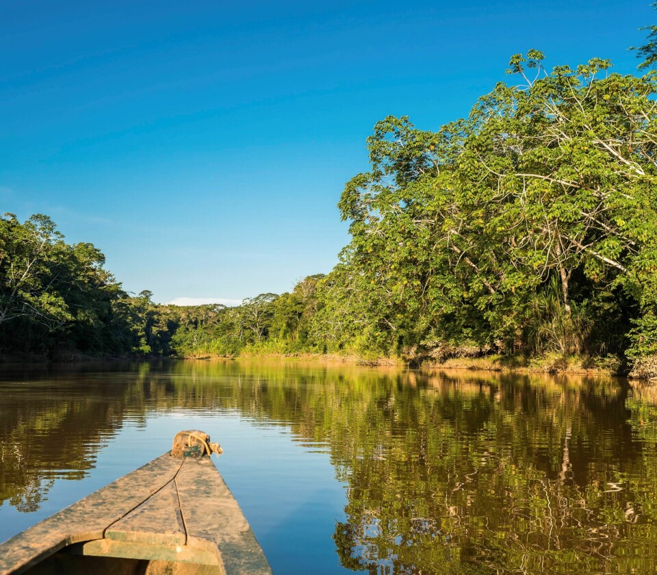 Å gli framover på en av Amazonas’ mange elver, gjennom den grønne, enorme regnskogen, er garantert en uforglemmelig opplevelse. FOTO: OSTILL/ISTOCK Å gli framover på en av Amazonas’ mange elver, gjennom den grønne, enorme regnskogen, er garantert en uforglemmelig opplevelse. FOTO: OSTILL/ISTOCK