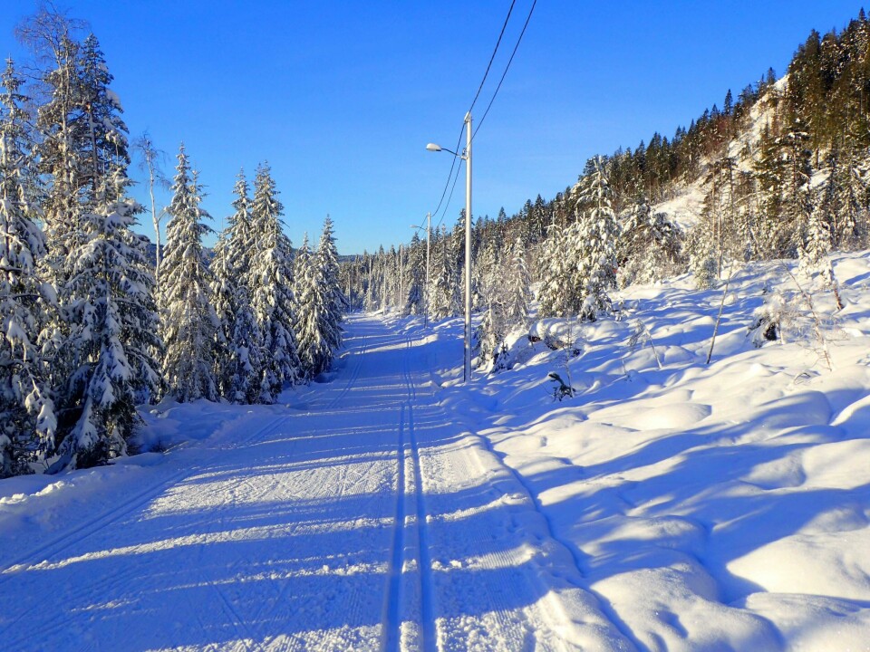 Innbydende i lysløypa mellom Eiksetra og Eggevollen i Lier. OLYMPUS DIGITAL CAMERA
