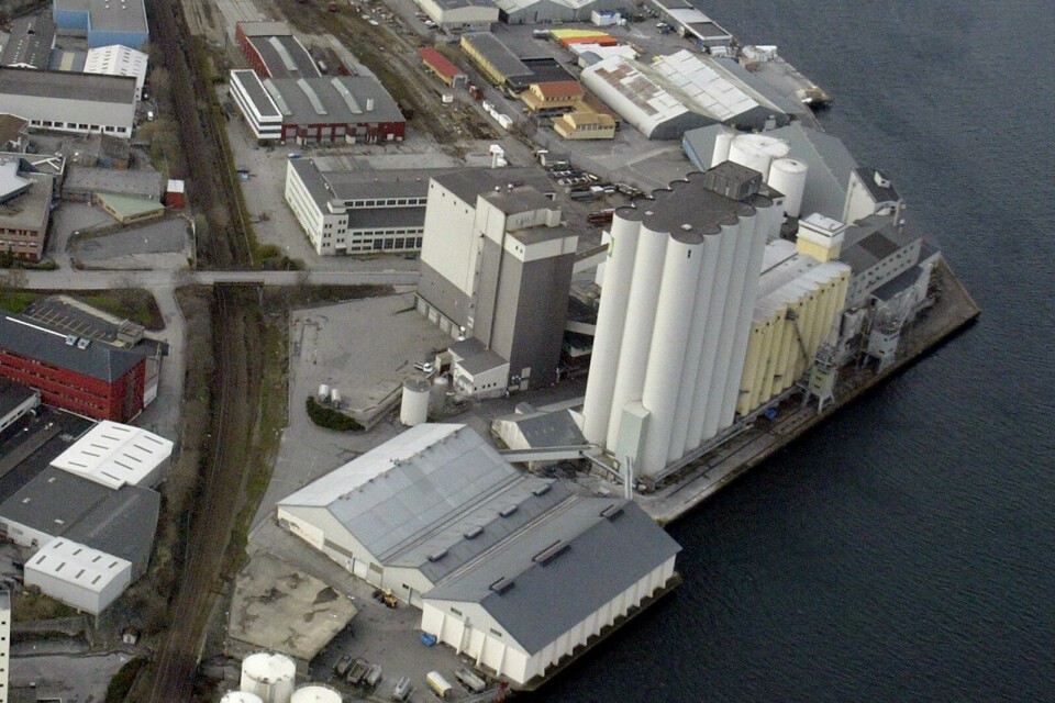 Nye målinger av lukt fra Felleskjøpets anlegg i Hillevåg viser for høye grenseverdier. Nå må Felleskjøpet ta grep for å redusere nivået.