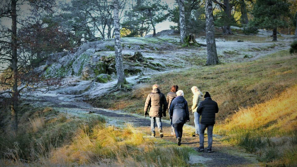 Turgåing er en av de viktigste aktivitetene på gården. Turgåing er en av de viktigste aktivitetene på gården.