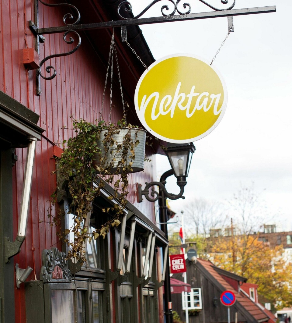 For Byløvene – Nektar vinbar For Byløvene – Nektar vinbar