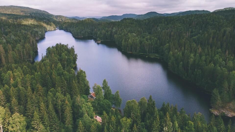 Røyrivannskoia og Stallen i Østmarka, som kan nås med kano fra Losby. Røyrivannskoia og Stallen i Østmarka. Røyrivannskoia og Stallen i Østmarka. Kan nås med kano fra Losby.