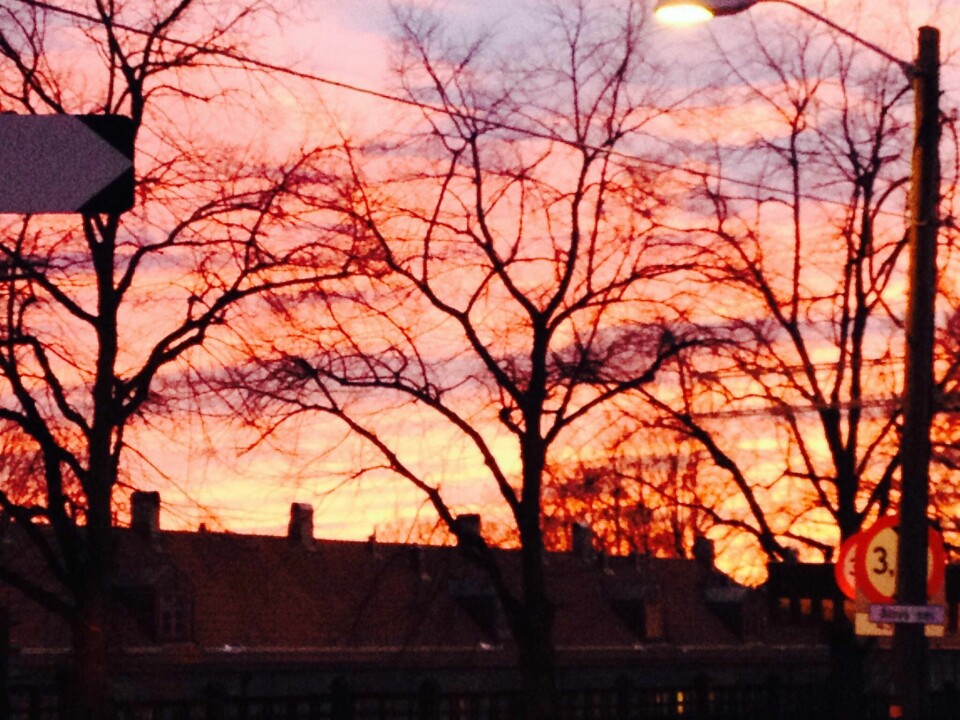 Oslo-himmelen er dekket av rosa skyer. FOTO: KRISTIN FREDRIKSEN