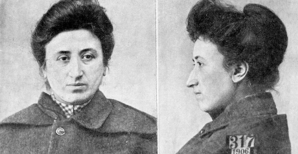 Alma Kjeldseth flakket rundt i Europa, «sånn som svennene gjorde i gamle dager». Kanskje søkte hun politiske likesinnede som den tyske sosialisten Rosa Luxemburg (bildet) og Clara Zetkin. FOTO: ARBARK
