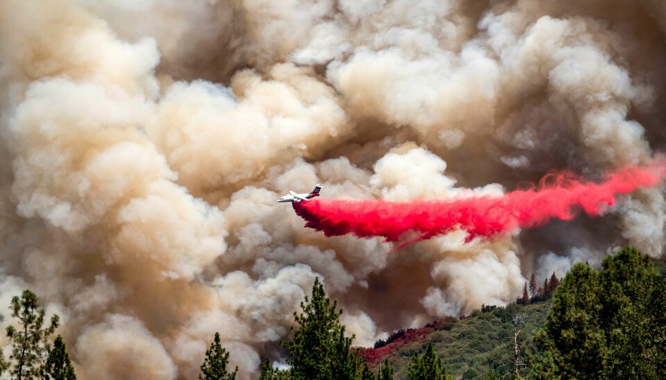 Et brannfly slipper vann over skogbrannen som siden fredag har spredt seg i rekordfart i Mariposa i California. Et brannfly slipper vann over skogbrannen som siden fredag har spredt seg i rekordfart i Mariposa i California. Foto: Noah Berger / AP / NTB