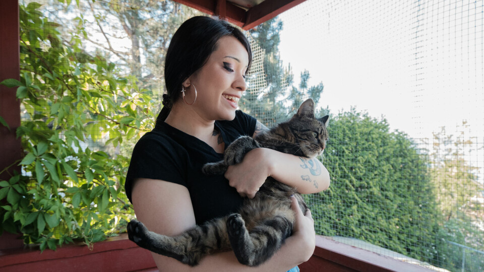 Frivillig i Dyrebeskyttelsen Norge Oslo og Akershus Sabina Huanca Johansen sammen med katten Milo. Frivillig i Dyrebeskyttelsen Norge Oslo og Akershus Sabina Huanca Johansen sammen med katten Milo.