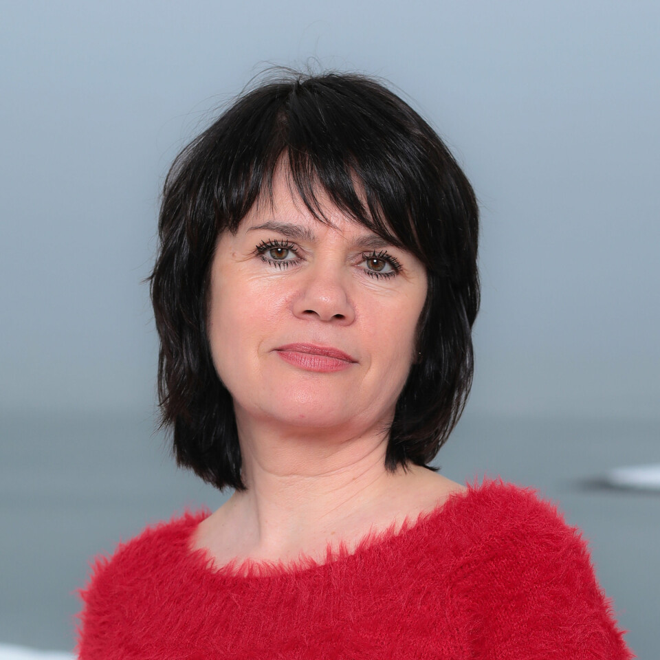 Forfatter Anne-Britt Harsem. Forfatter Anne-Britt Harsem.