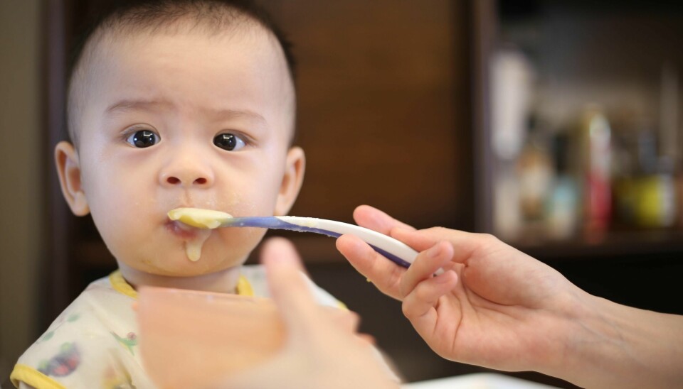 Ingen er født allergiske, forteller barnelege og allergiekspert Bente Kvenshagen. Derfor bør man introdusere nøtter og egg til barna fra de er helt små, slik at de utvikler toleranse. baby mat