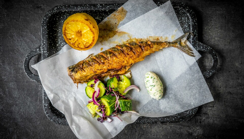 Makrellen er sommerfisk nummer én, og tilberedt på denne enkle måten holdes arbeidsmengden på et sommerlig minimum. FEIT FAVORITT: Makrellen er sommerfisk nummer én, og tilberedt på denne enkle måten holdes arbeidsmengden på et sommerlig minimum.