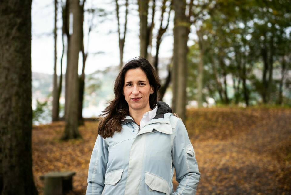 Forsker ved Havforskningsinstituttet (HI) og førsteamanuensis i Miljøtoksikologi, Tanja Kögel. Forsker ved Havforskningsinstituttet (HI) og førsteamanuensis i Miljøtoksikologi, Tanja Kögel.