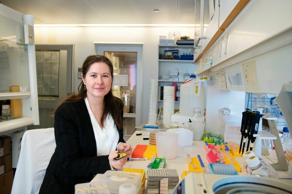 Forsker innen vaksineutvikling og immunologi, Gunnveig Grødeland. Gunnveig Grødeland.