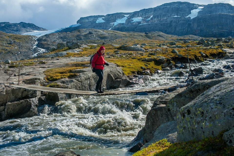 Sjølv om nasjonalparkane ikkje kan løyse klimaproblema er dei viktige fordi dei tar vare på heilskapen i økosystema, skriver kronikkforfatteren. Bildet er tatt i nasjonalparken Hardangervidda.