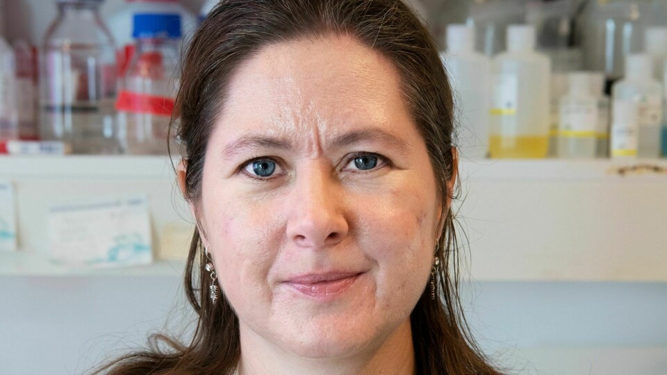 Gunnveig Grødeland mener vi ikke trenger å bekymre oss for de nye koronavariantene. Gunnveig Grødeland